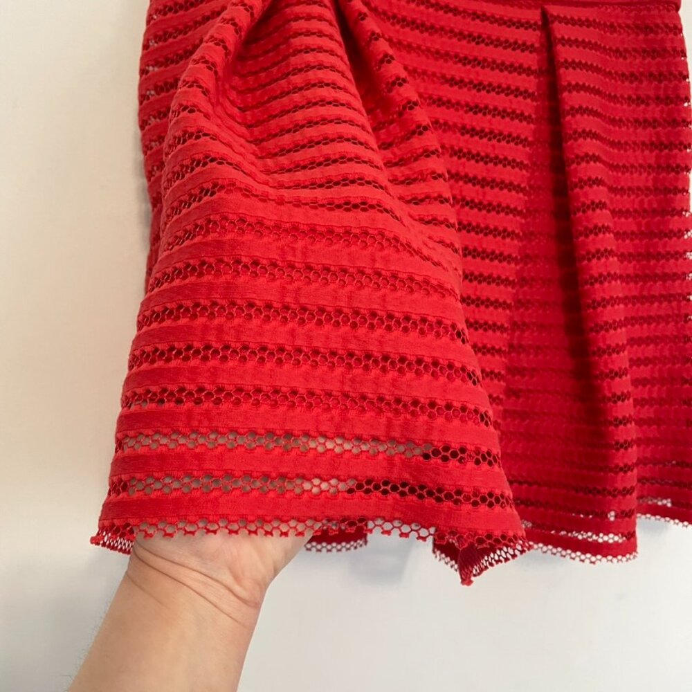 EXPRESS Mesh High Waisted Full Pleated Skirt Red Striped 2010s Mini A-Line Skirt - Picture 8 of 16